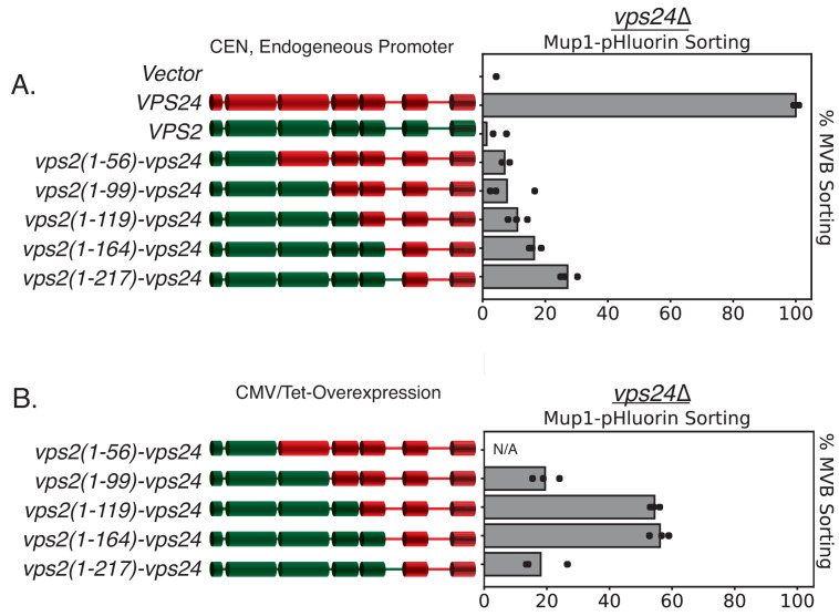 Figure 3—figure supplement 3.