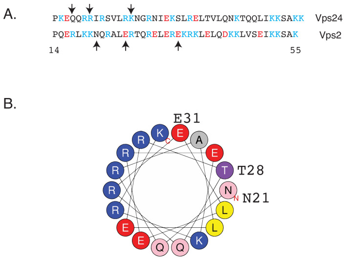 Figure 1—figure supplement 2.