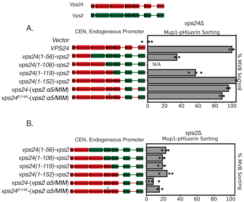 Figure 3—figure supplement 1.