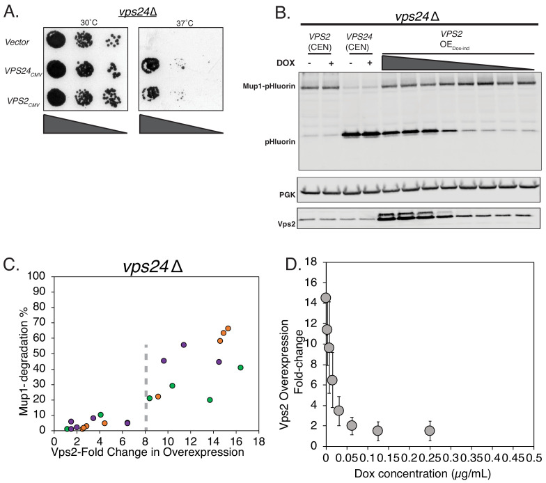 Figure 1—figure supplement 1.