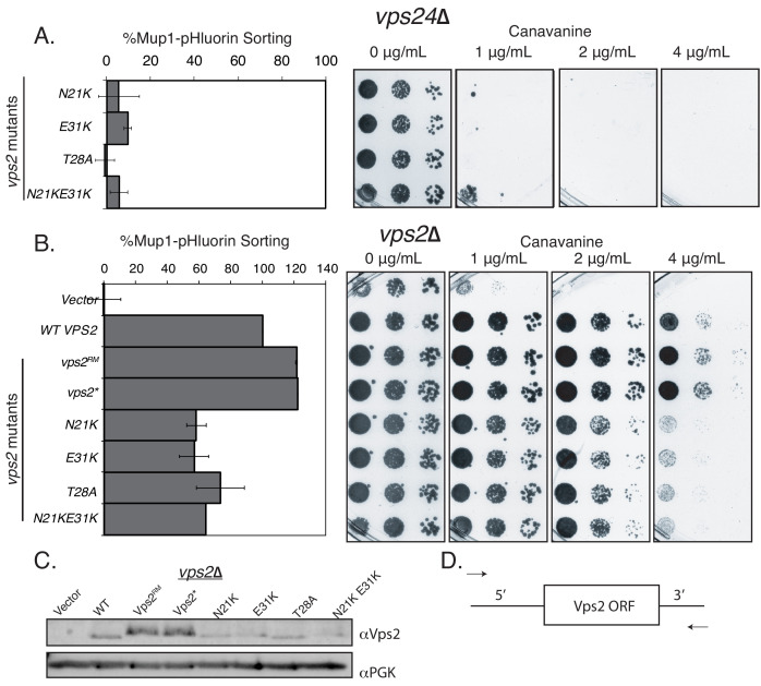 Figure 1—figure supplement 3.