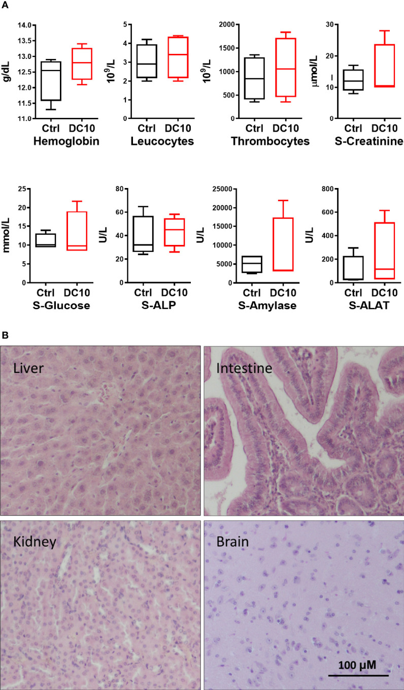 Figure 5