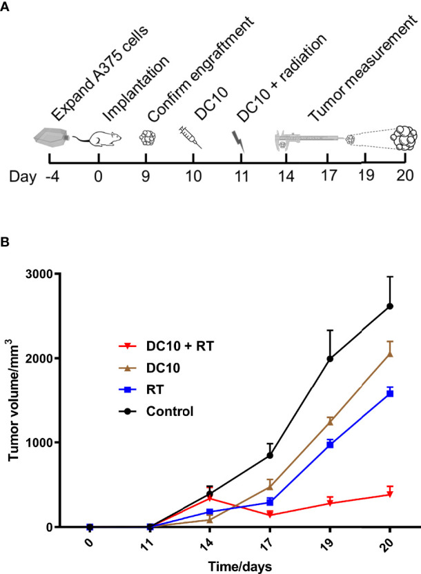 Figure 6