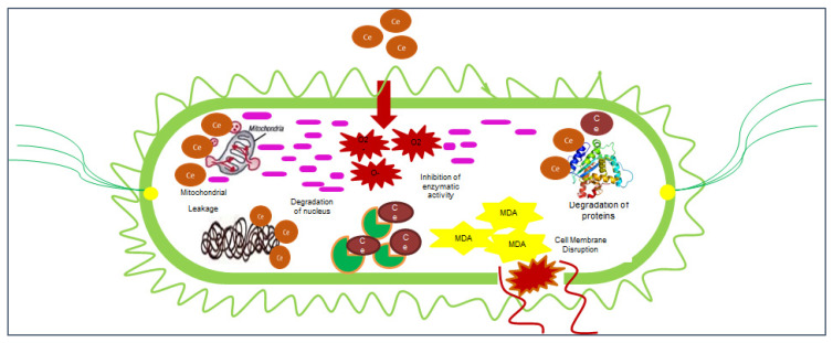 Figure 6