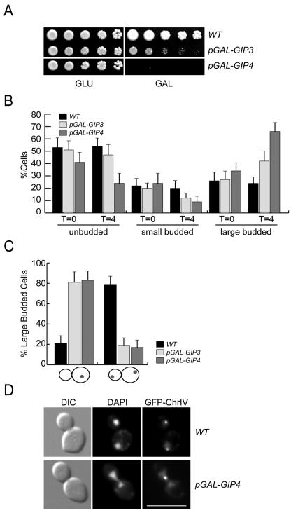 FIG. 6.