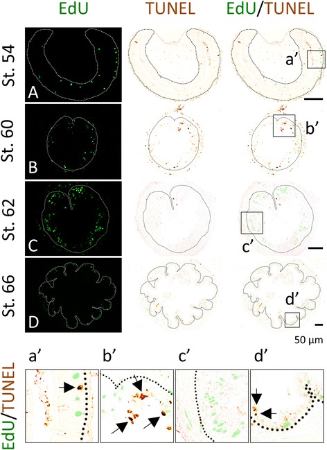 Fig. 8