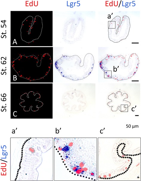 Fig. 6