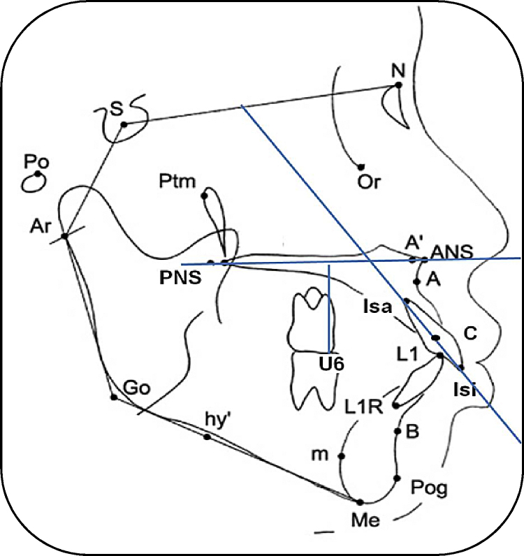 Fig. 2