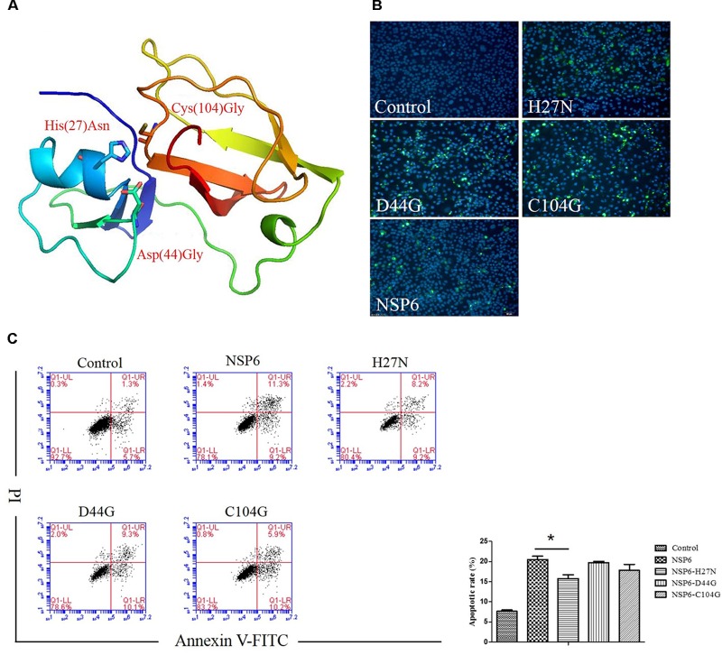 FIGURE 6