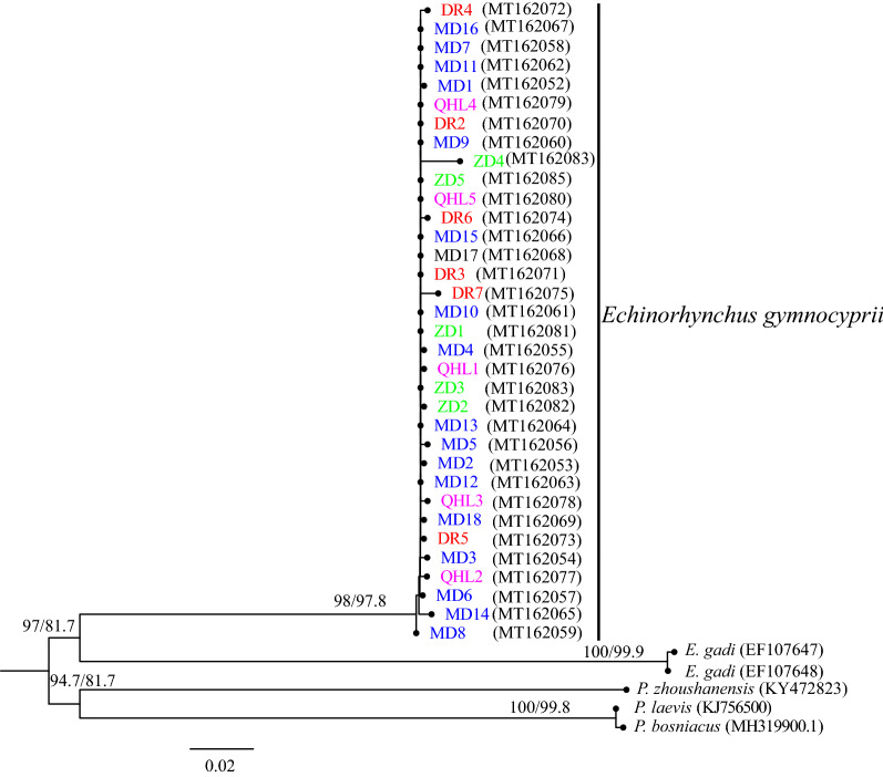 Fig. 2