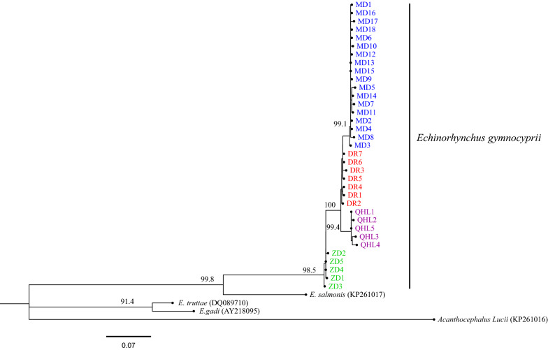 Fig. 3