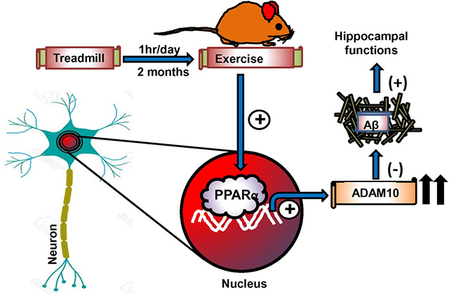 graphic file with name nihms-1871730-f0008.jpg