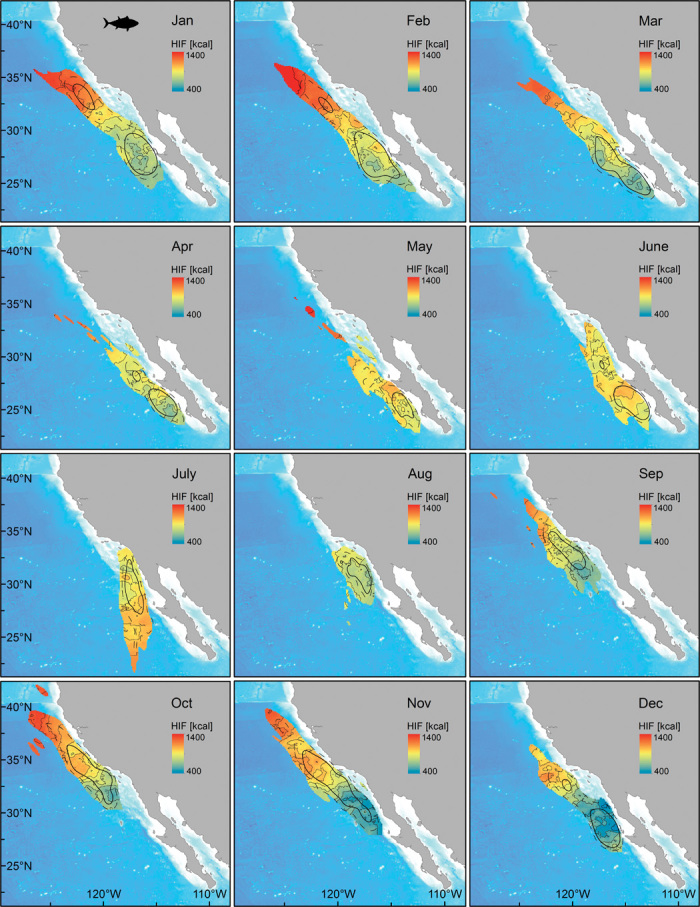 Fig. 4