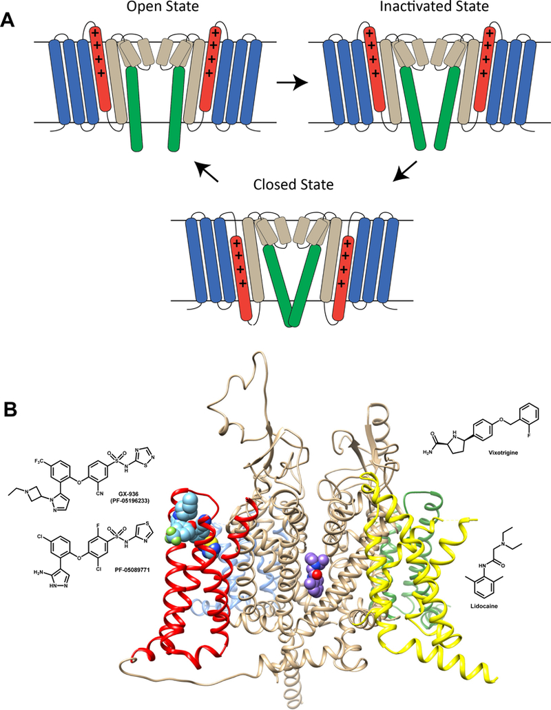 Figure 1.