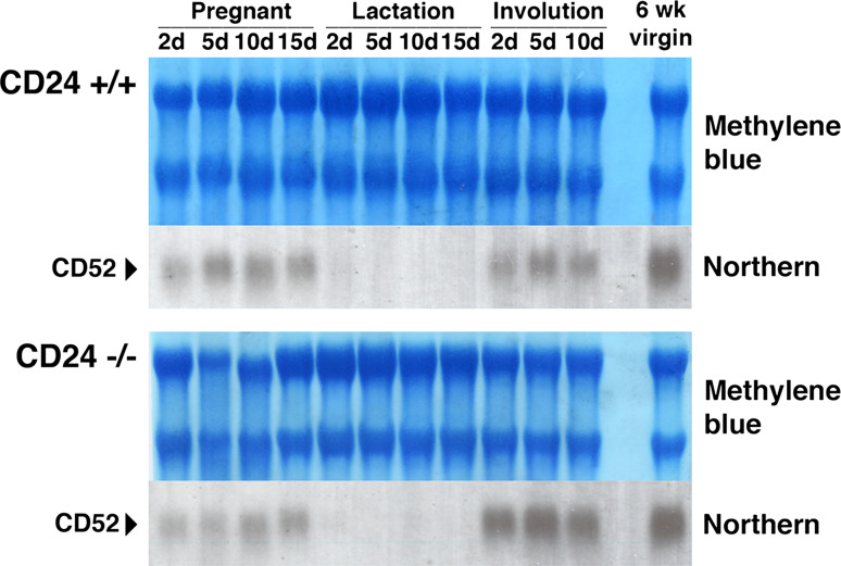 Fig. 6