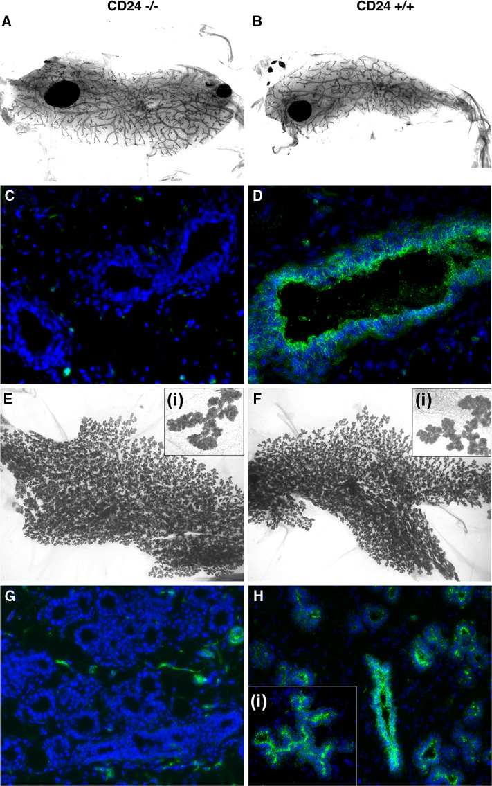 Fig. 7