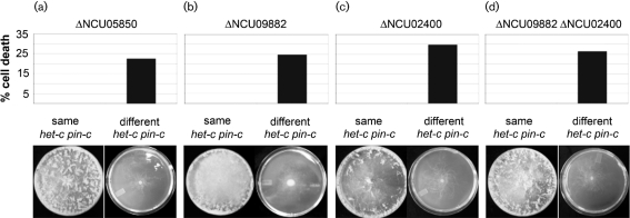 Fig. 6.