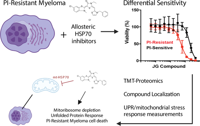 graphic file with name nihms-1825533-f0001.jpg