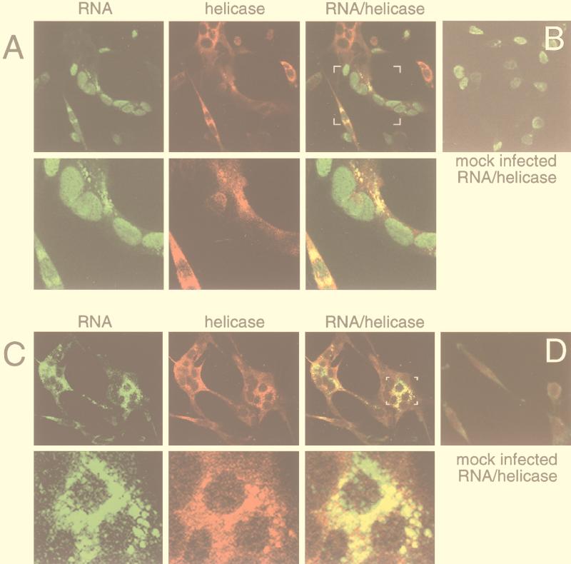 FIG. 9