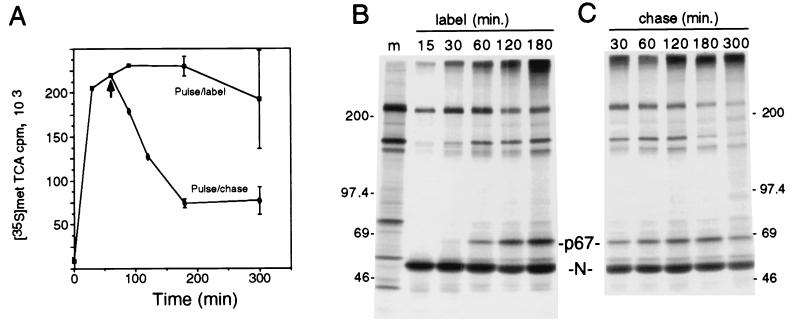 FIG. 3