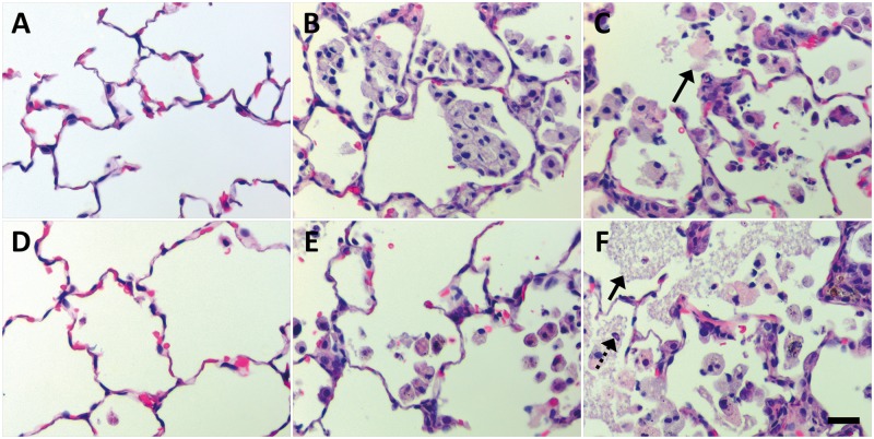 FIG. 10.