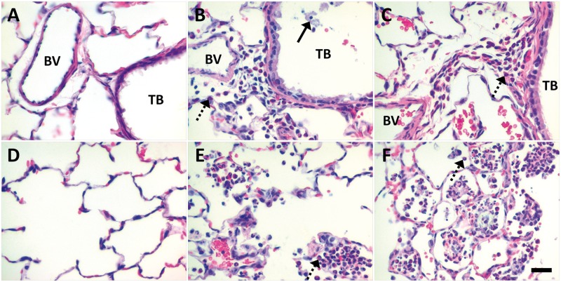 FIG. 6.