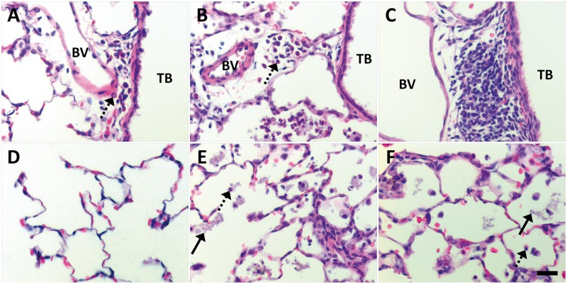 FIG. 8.