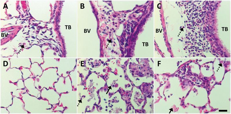 FIG. 9.