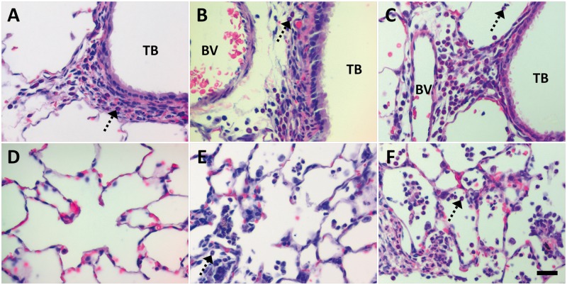 FIG. 7.