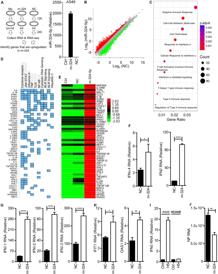 FIG 4