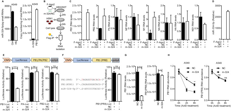 FIG 2