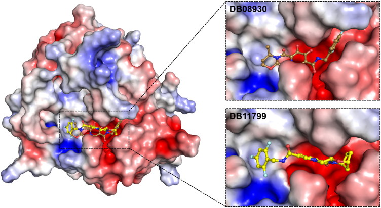 Figure 4.