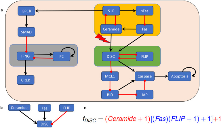 Figure 7: