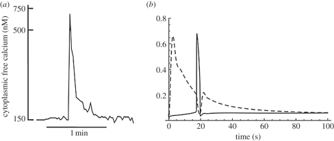 Figure 3.