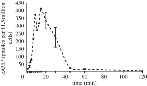 Figure 4.