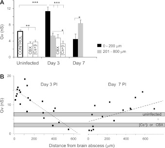 Fig. 8.