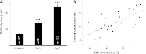 Fig. 4.