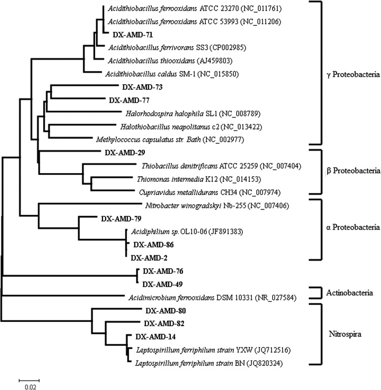 Fig 2