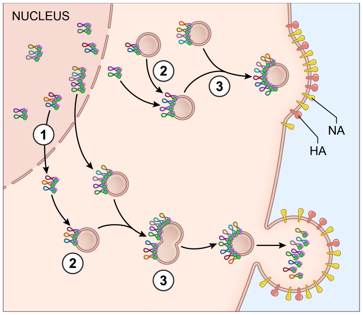 Figure 7