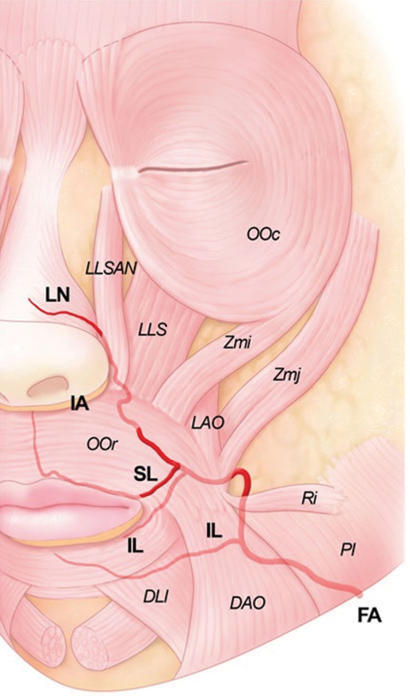 Fig. 3.