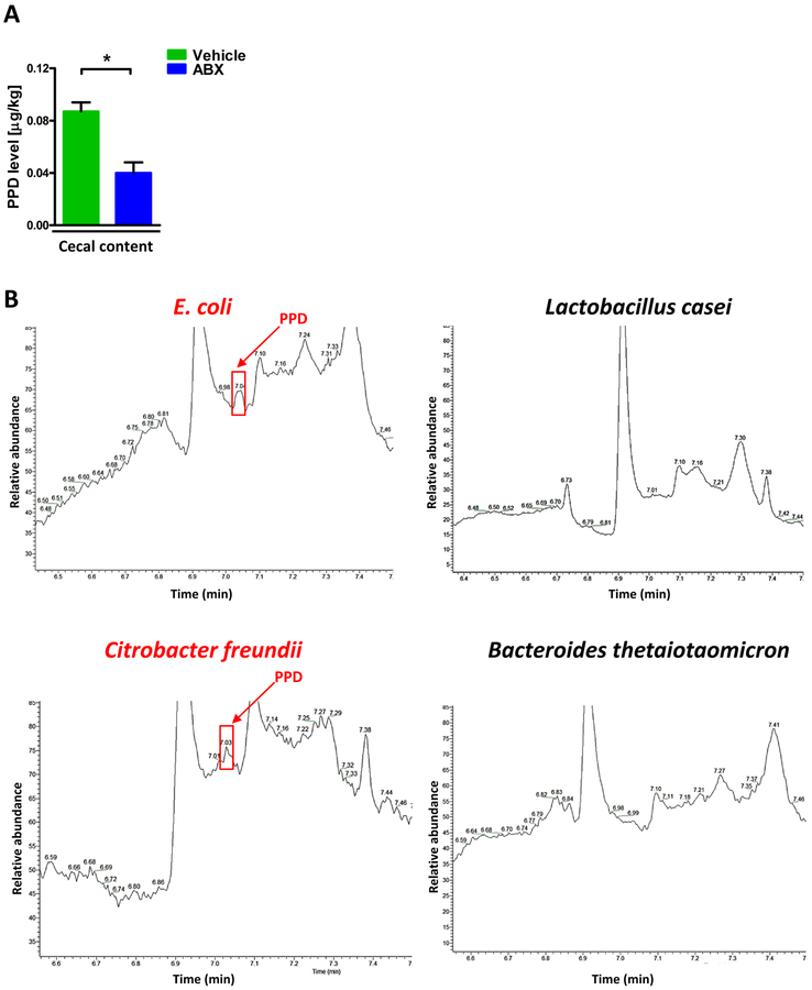 Figure 3: