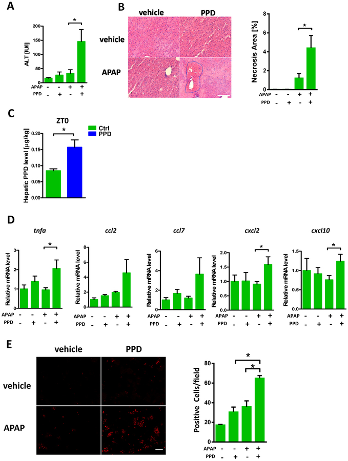 Figure 4: