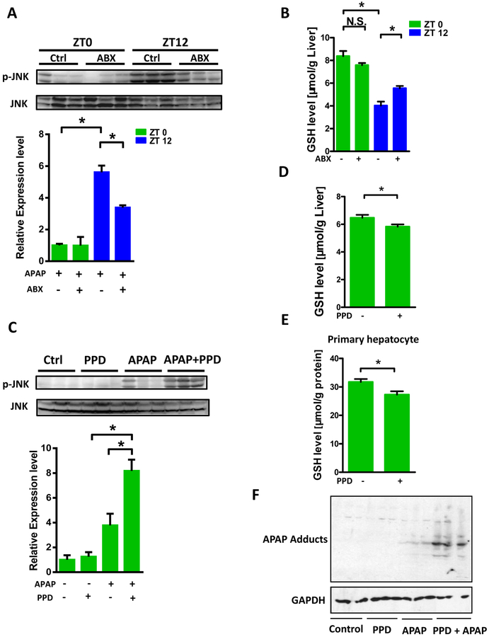 Figure 5: