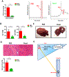 Figure 6: