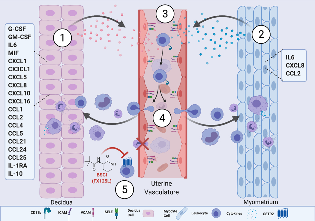 Figure 7: