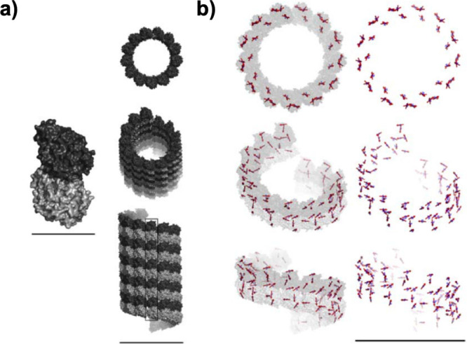 Figure 31