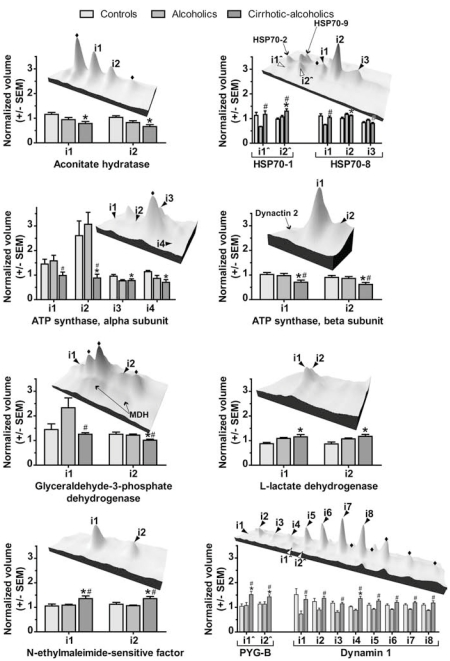 Fig. (2)