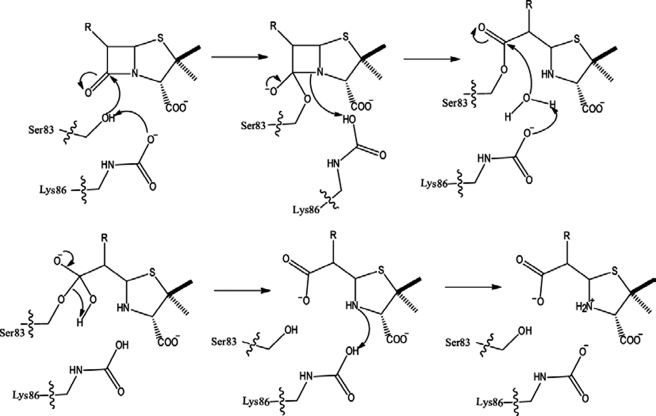 FIGURE 9.