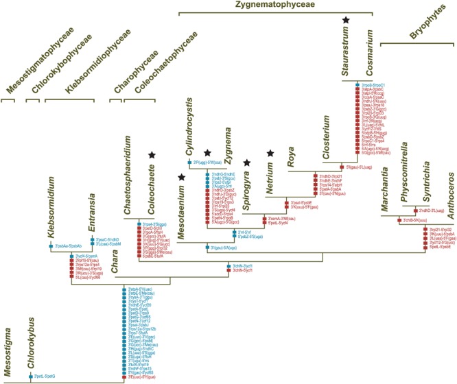 FIGURE 13