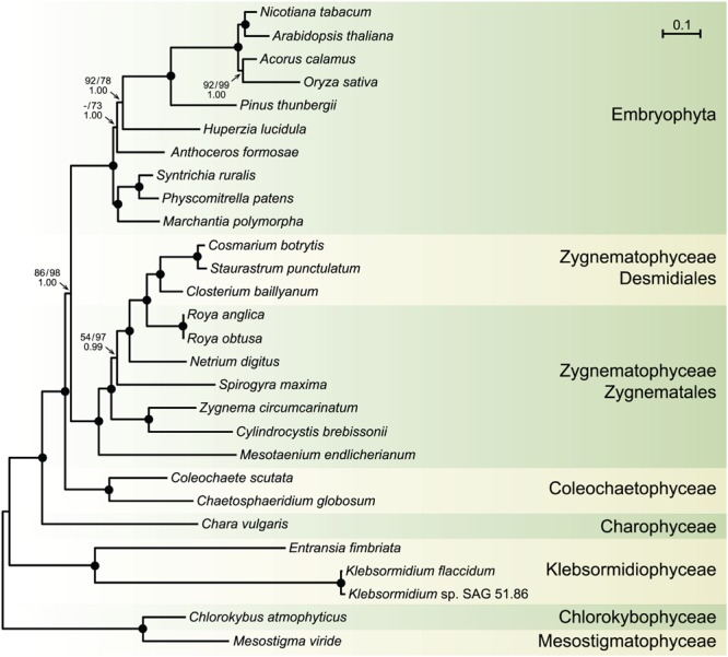 FIGURE 6